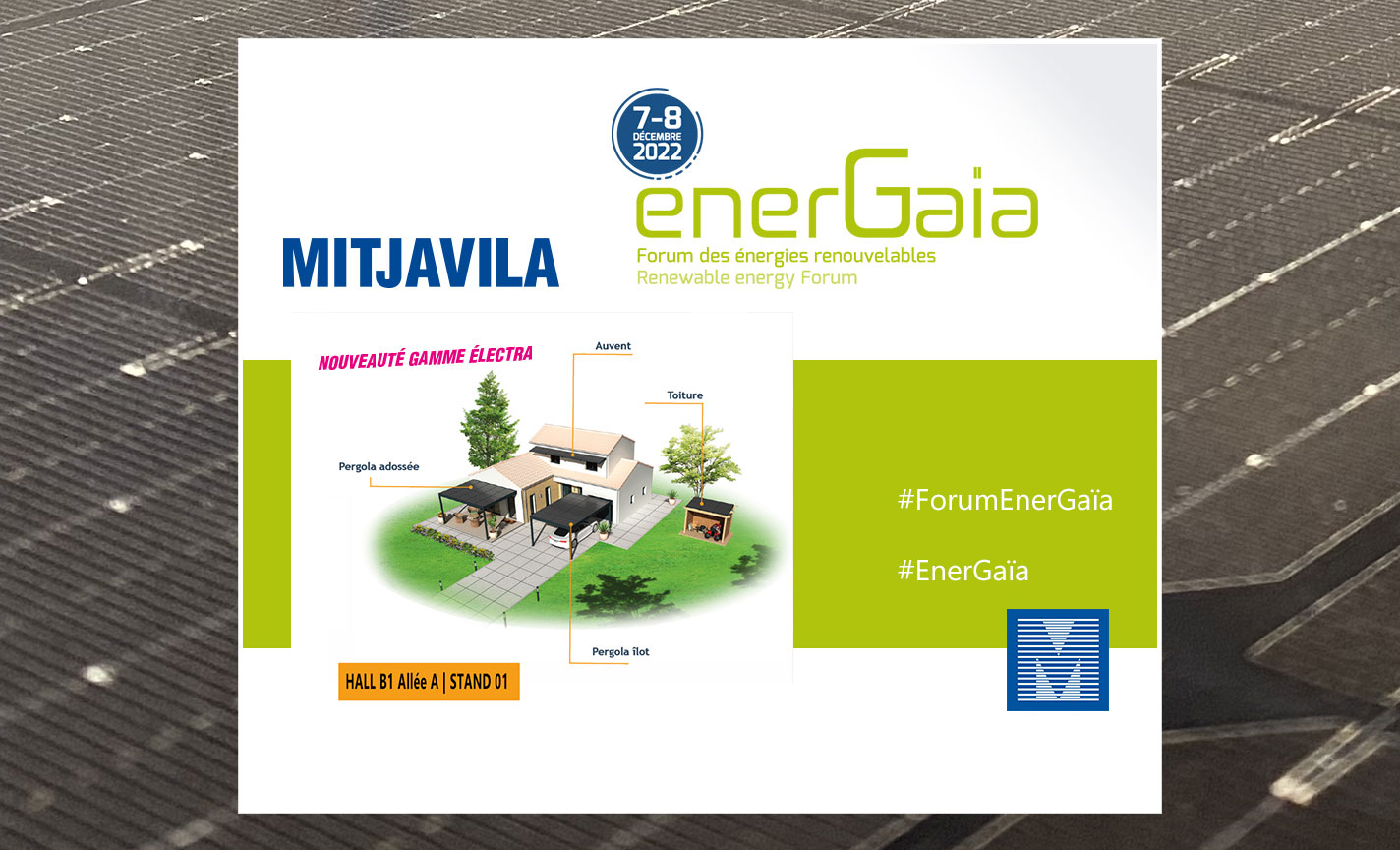 Mitjavila Energaia Forum